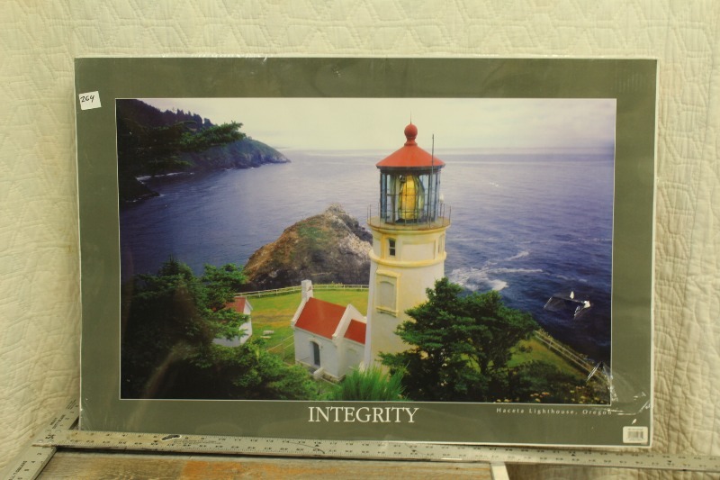 lot 264 image: Integrity Posterboard