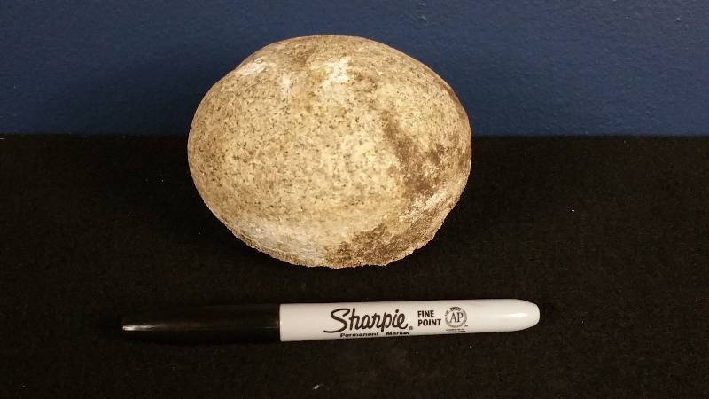 lot 193 image: Uncut Larger Crystal Dinosaur Egg Geode