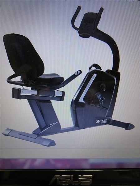 lot 29 image: Xterra SB2.5r Recumbant Bike