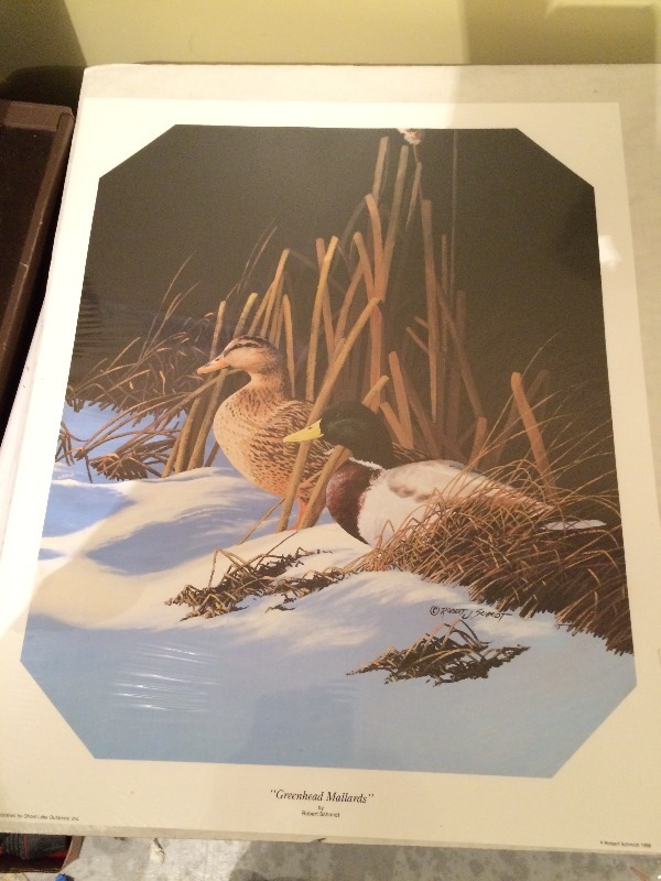 Assorted of really nice Wildlife Prints - lot of 6 sealed in packaging