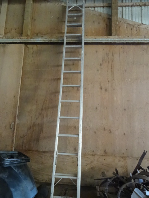 lot 9 image: Extension ladder