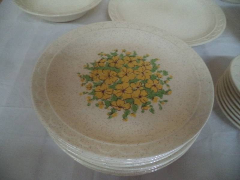 Stoneware dish set