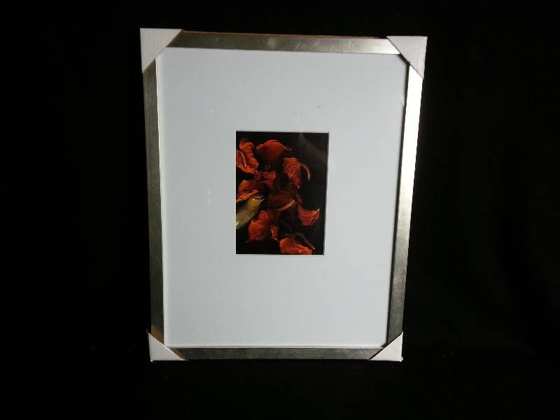 lot 11 image: Bird & Floral Print