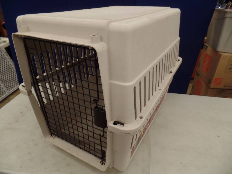 Dog Kennel