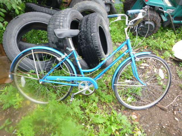lot 45 image: Schwinn Breeze Bicycle