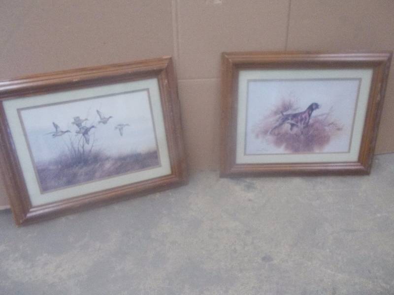 Wildlife Art