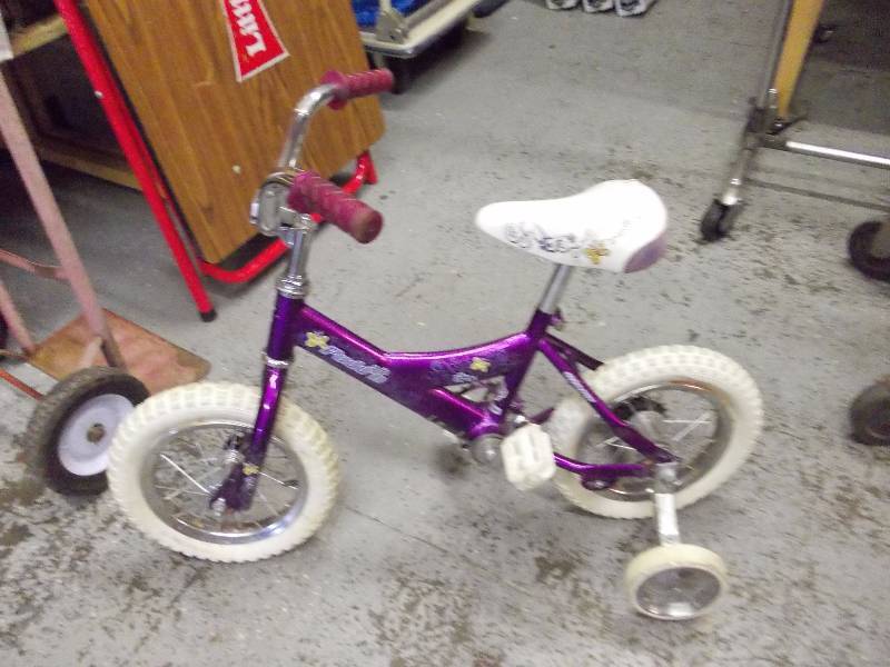 Little Girls Bike with Training Wheels
