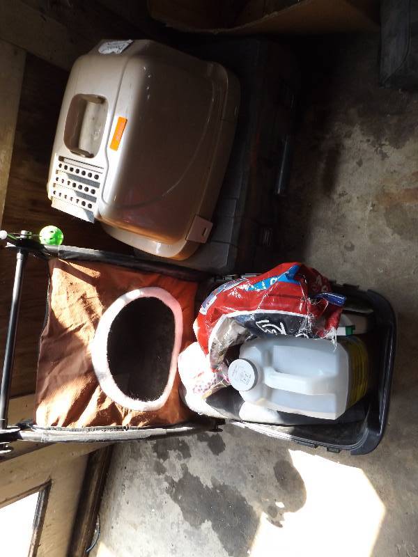 Cat Carriers and Cat Litter