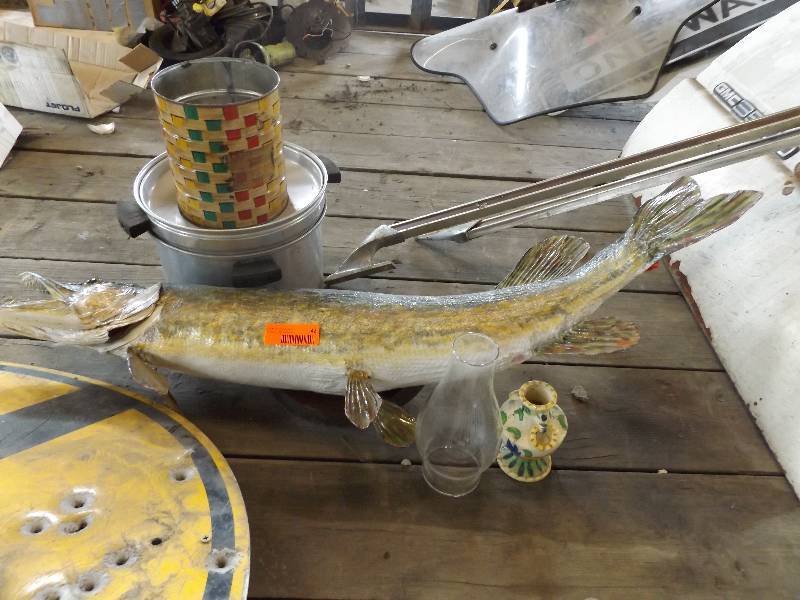 Fish Trophy, Cooking Pot, Lamp Chimney, Decorative Vase