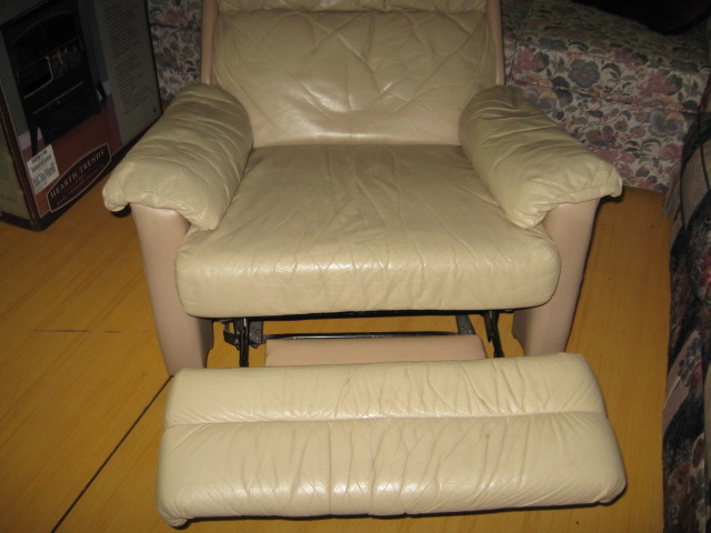 Leather Recliner