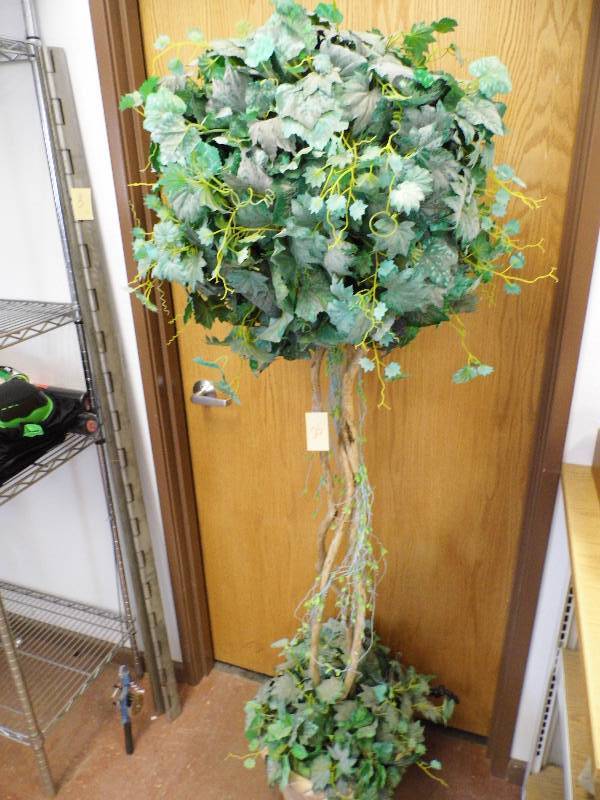 Tree 6