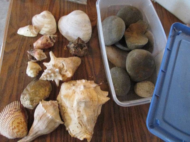 Lot of shells and smooth rocks...