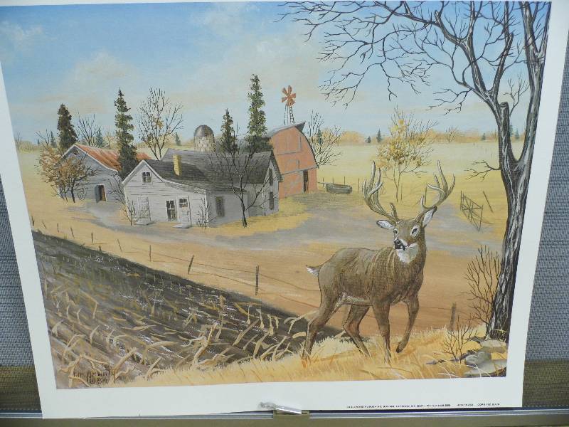 Corn Fed Buck