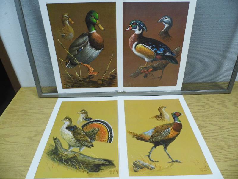 Water Fowl
