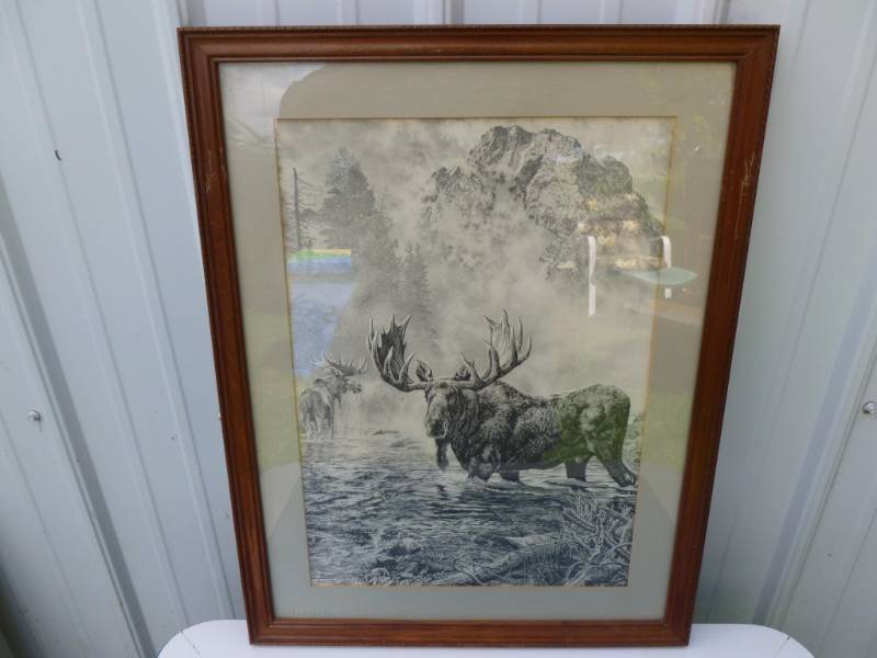 Framed Picture