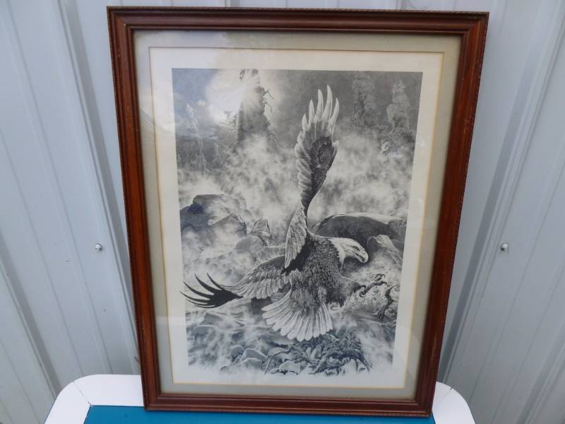 Framed Picture