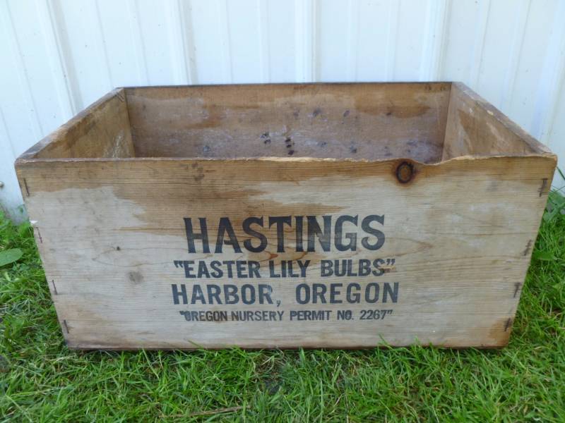 Vintage Wooden Box