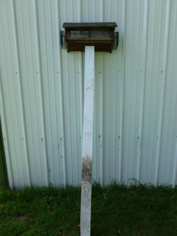 Bird Feeder