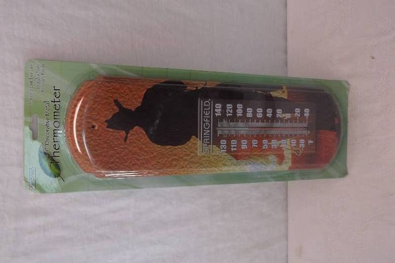 Thermometer
