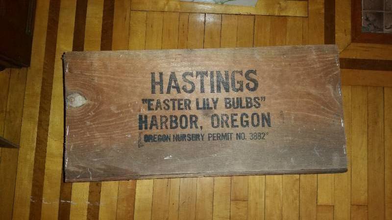 Old Hastings Easter Lily Bulbs Box