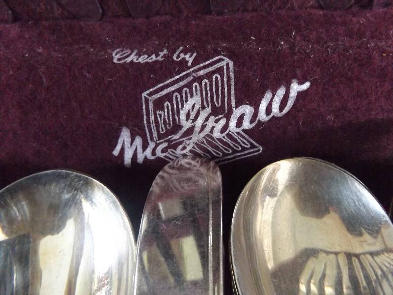 William Rogers Stainless Steel Silverware, Berry Pattern, Service for 12