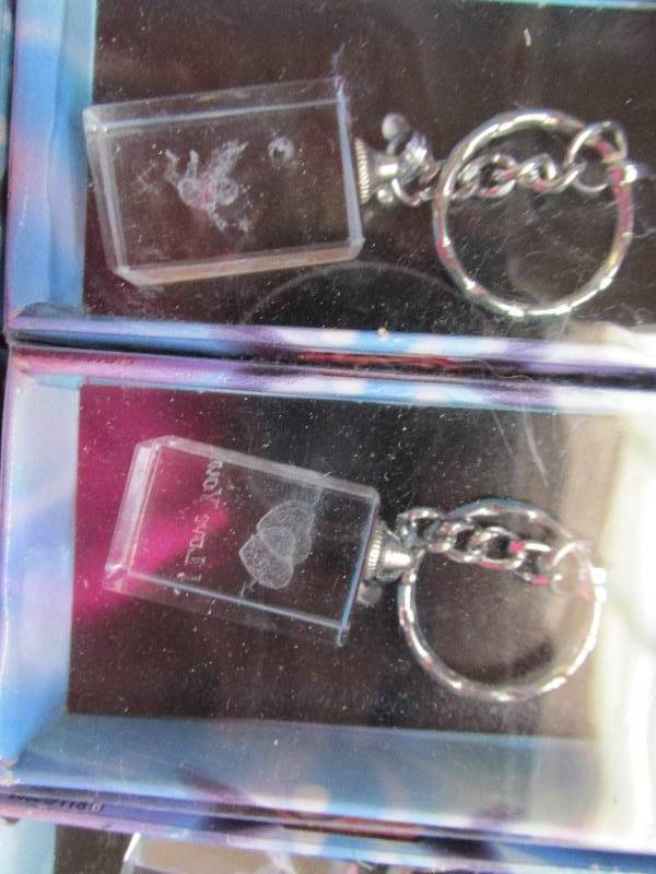 lot 106-COPY image: 12 3-d laser sculptured key chains ...