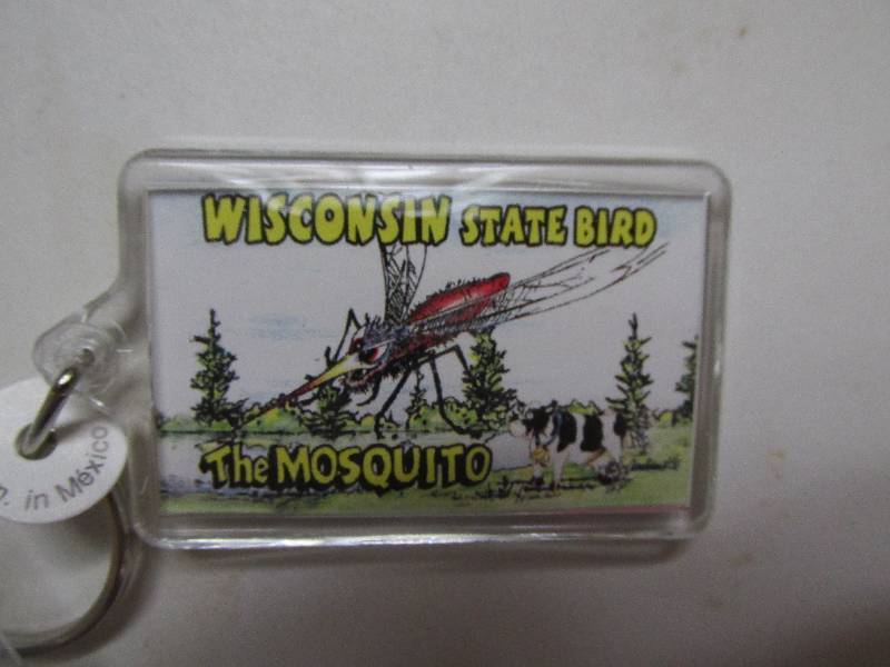 lot 66-COPY image: lot of wisconsin state bird the mo...