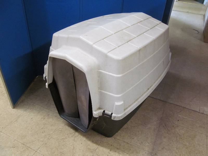 Dog House