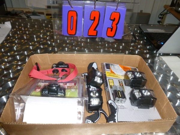 SnS Auctions # 171 Outdoor Recreational, mini bikes & go karts