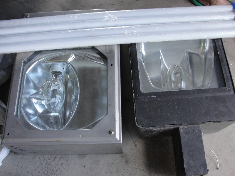 Big Lights and Florescent lightbulbs