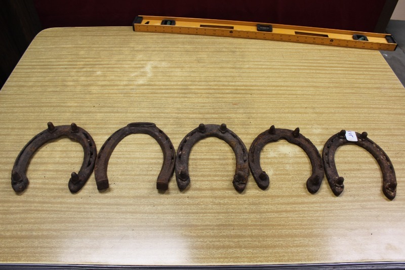 Horseshoes