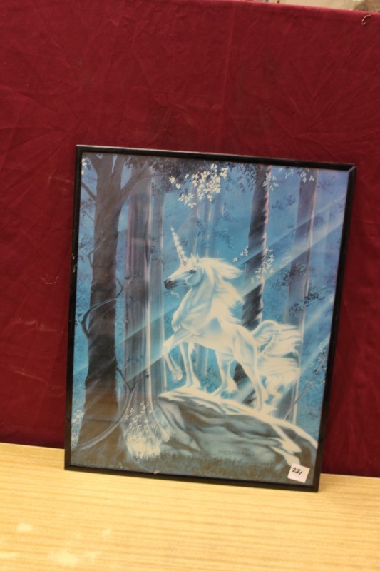 Framed Unicorn Print