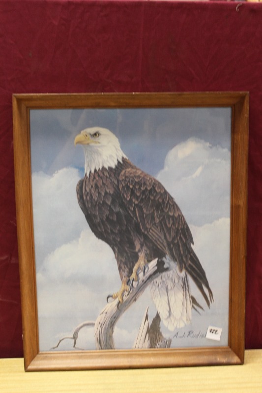 Framed Eagle Print