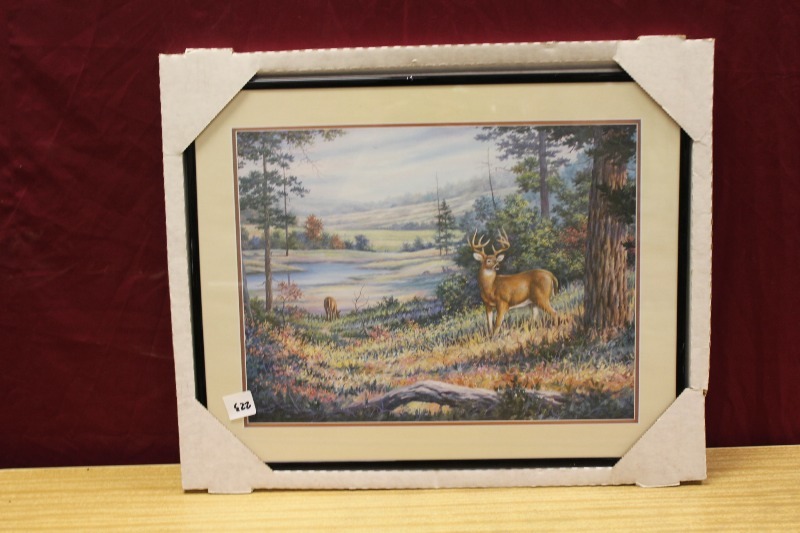Framed Deer Print