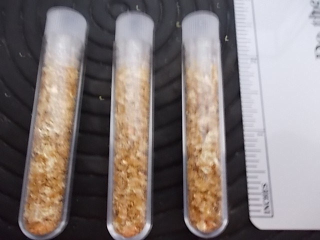 Gold Flake