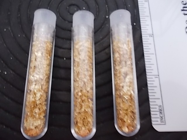 Gold Flake