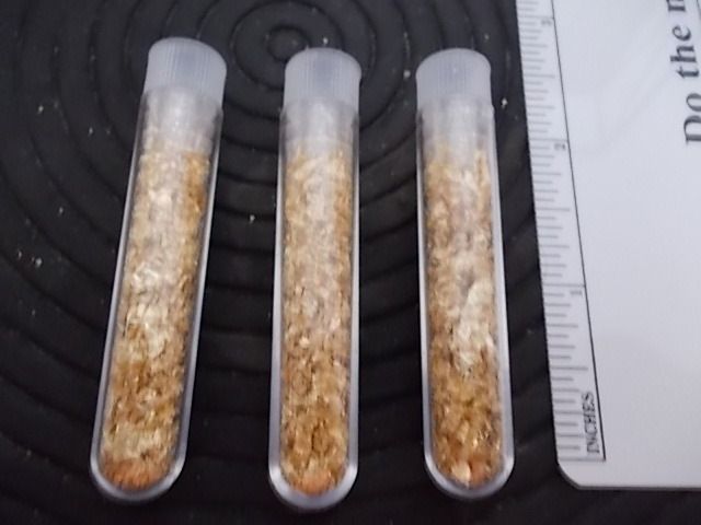 Gold Flake