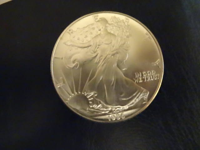Liberty Silver Dollar
