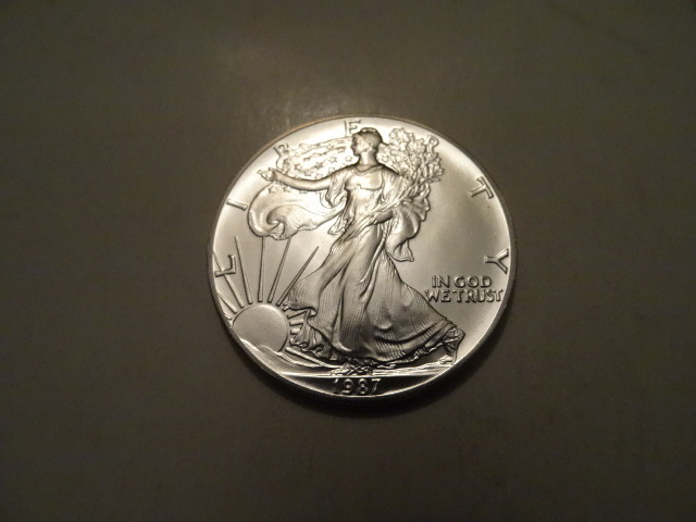 Liberty Silver Dollar