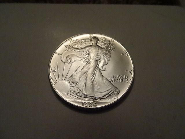 Liberty Silver Dollar