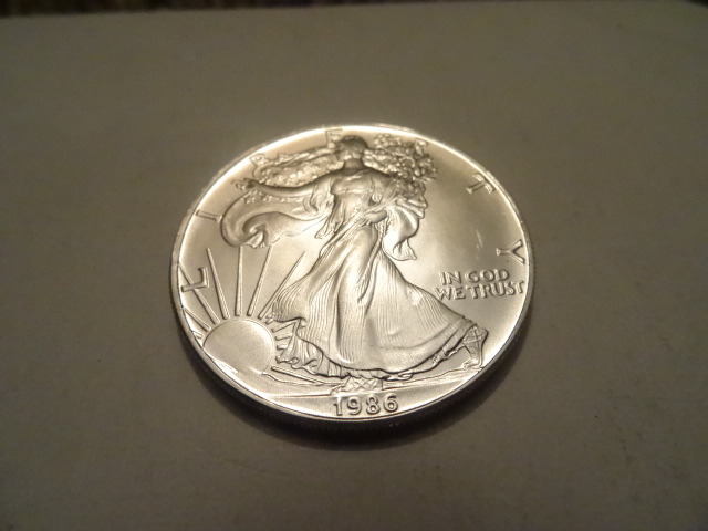 Liberty Silver Dollar