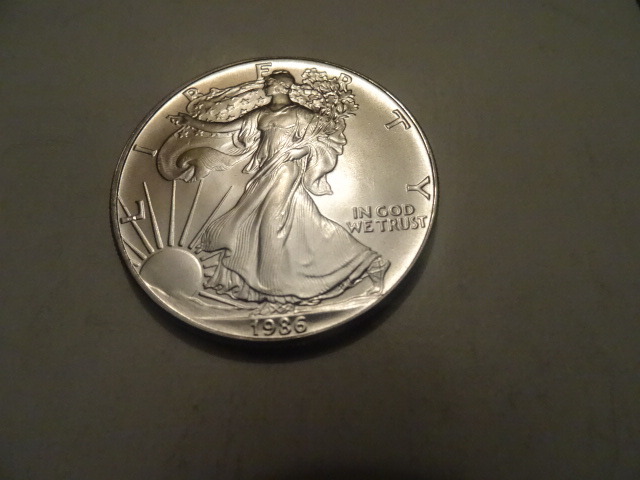 Liberty Silver Dollar