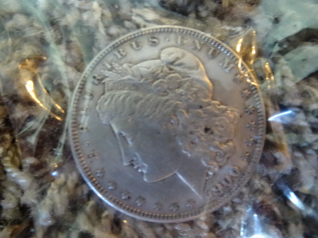 Liberty Silver Dollar