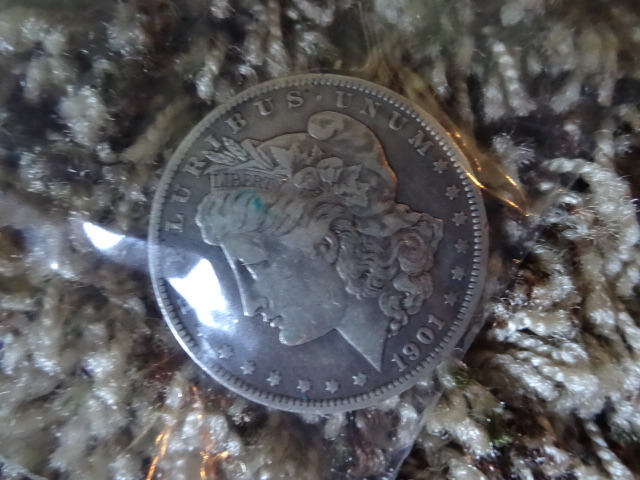 Liberty Silver Dollar