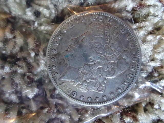 Liberty Silver Dollar