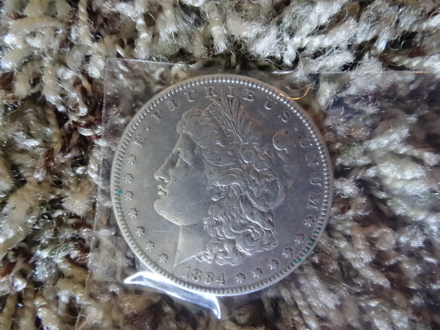 Liberty Silver Dollar