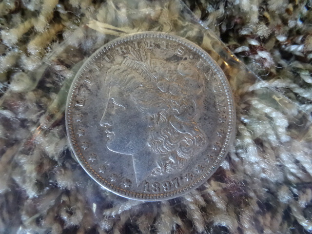 Liberty Silver Dollar