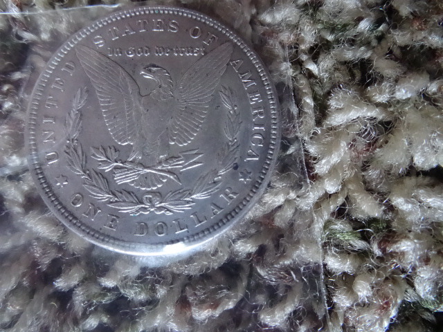 Liberty Silver Dollar