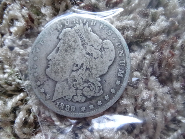 Liberty Silver Dollar