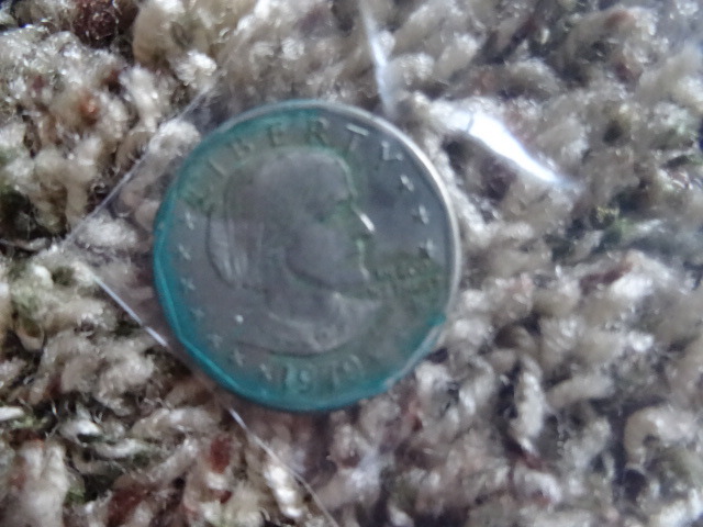 Liberty dollar